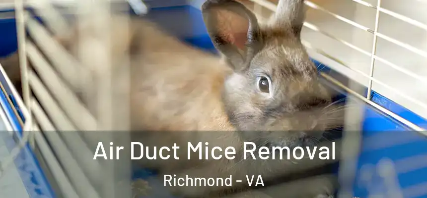 Air Duct Mice Removal Richmond - VA