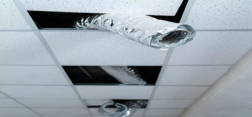 Our Air Duct Pet Hair Removal Services in Richmond, VA