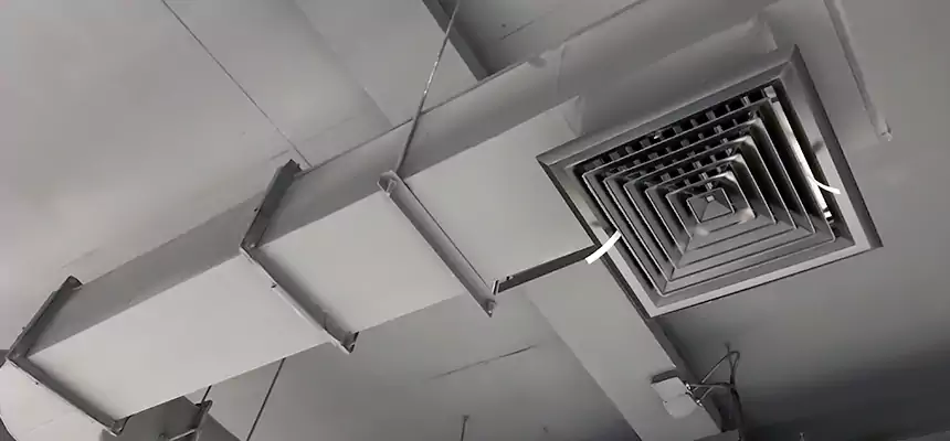 Our Pest Removal From Ducts Services in Richmond, VA