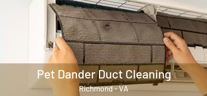 Pet Dander Duct Cleaning Richmond - VA