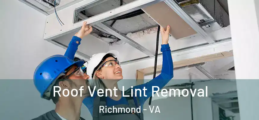 Roof Vent Lint Removal Richmond - VA
