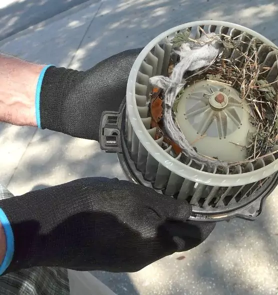 About Air Duct Rat Removal in Richmond, VA