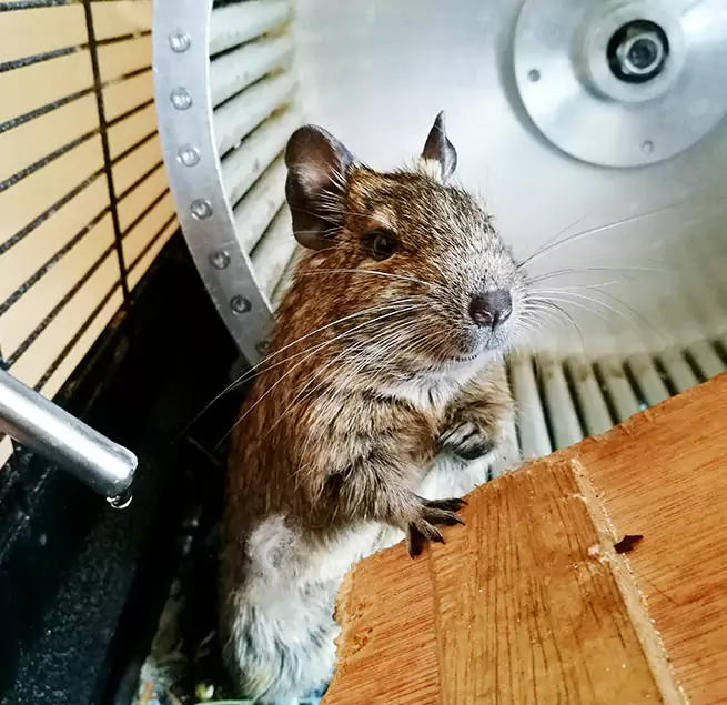 Why Homeowners & Businesses Trust Us Richmond, VA