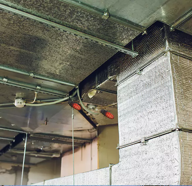 Why Homeowners & Businesses Trust Us Richmond, VA?